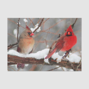 male and female cardinals tissue paper