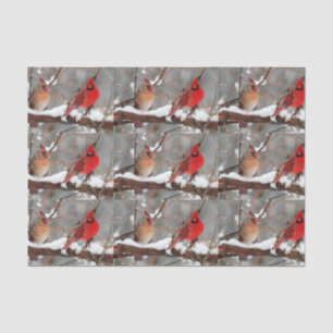 male and female cardinals tissue paper
