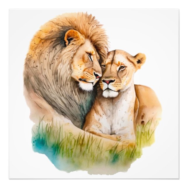 Male and Female Lion & Lioness in Love  Photo Print (Front)