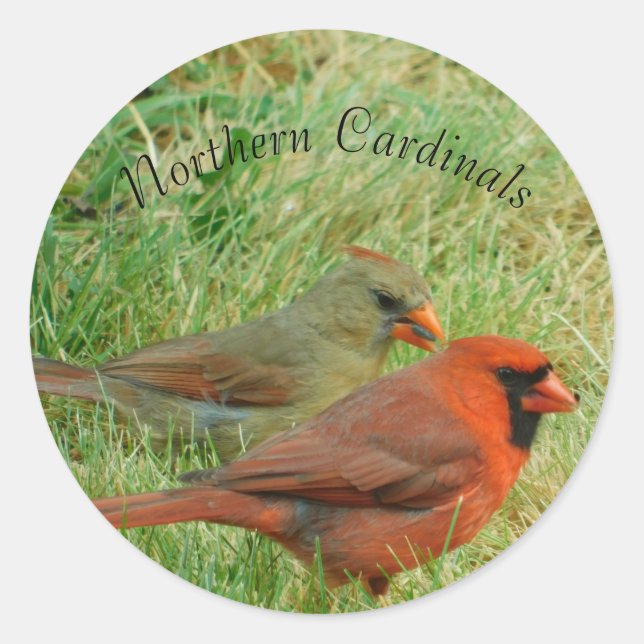 Male and Female Northern Cardinal Sticker Set (Front)