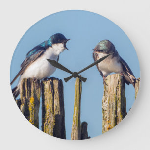 Male and female Tree Swallow Large Clock