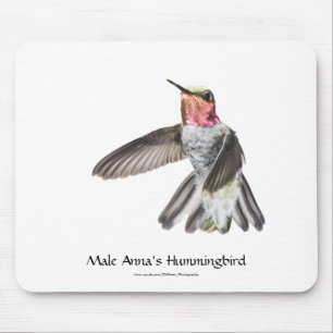 Male Anna's Hummingbird Mousepad