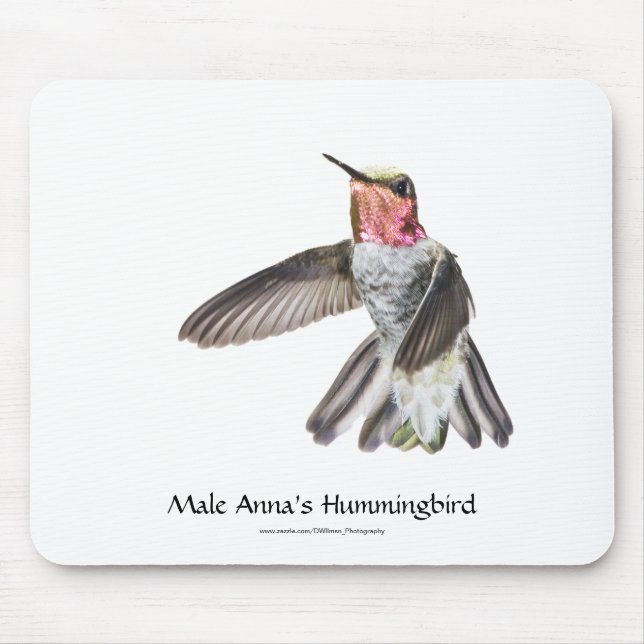 Male Anna's Hummingbird Mousepad (Front)
