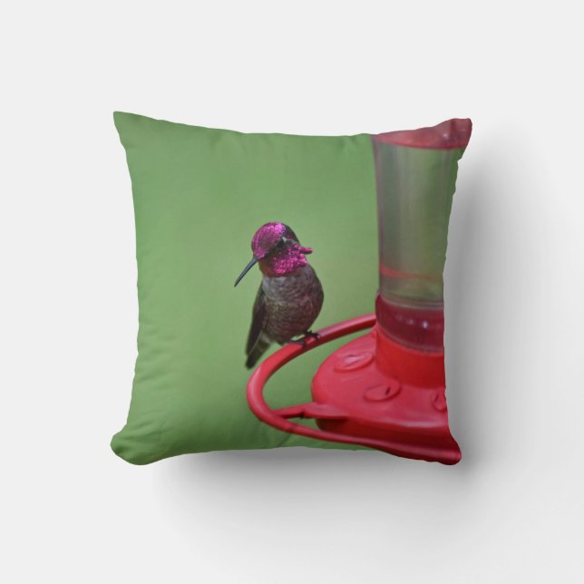 Male Anna's Hummingbird Pillow (Front)