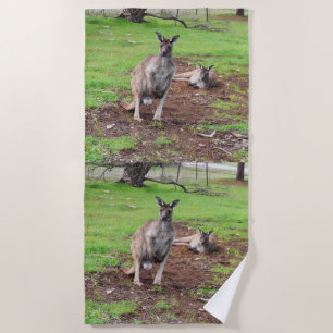 Male Australian Kangaroo, Beach Towel