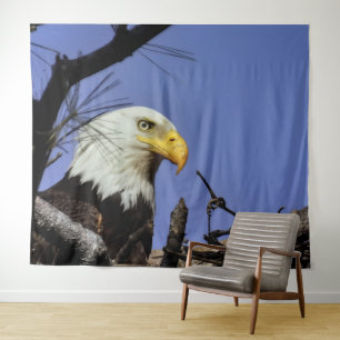 Male Bald Eagle in Nest Tapestry
