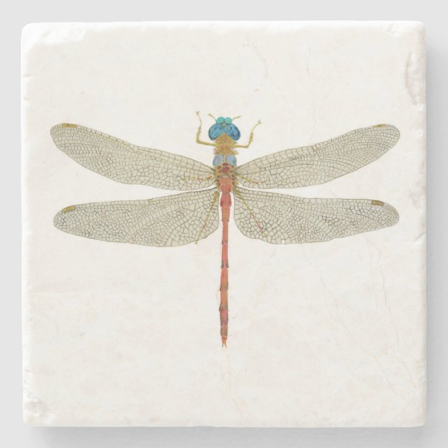 Male Blue-Faced Meadowhawk Dragonfly Coaster (Front)