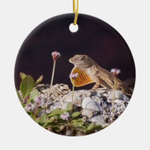 Male Brown Anole Lizard displaying dewlap Ceramic Tree Decoration