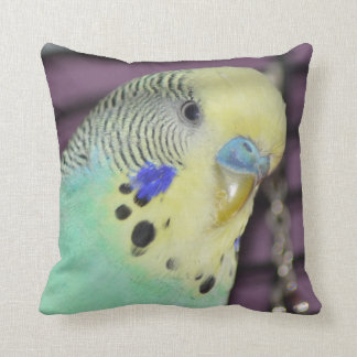 Male Budgie/ Parakeet Cushion