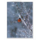 Male Bullfinch in the Snow Card (Front)