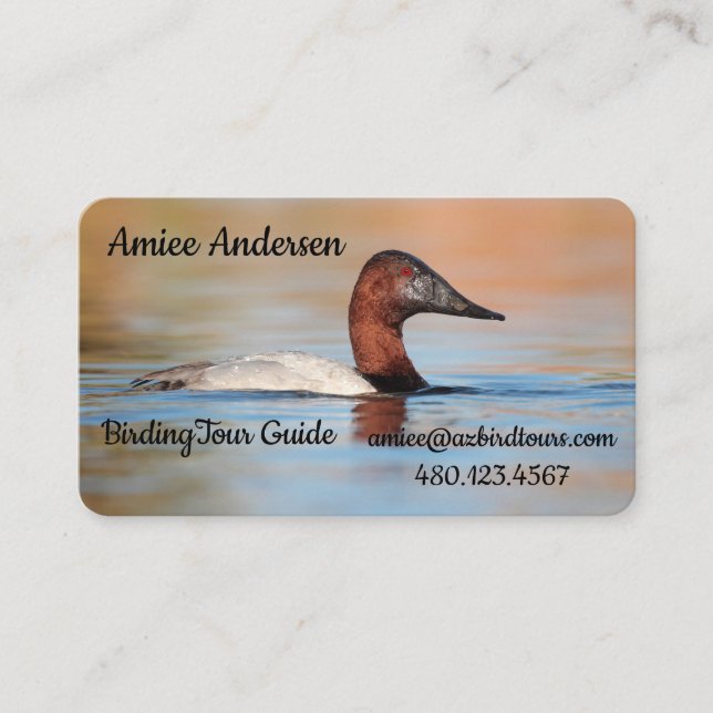 Male Canvasback Duck Business Card (Front)