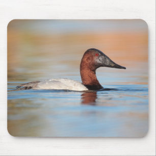 Male canvasback duck mouse mat