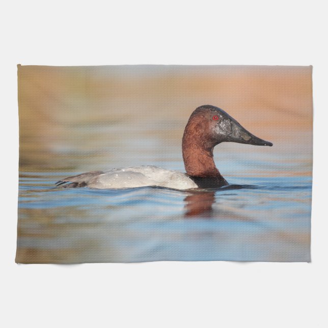 Male canvasback duck tea towel (Horizontal)
