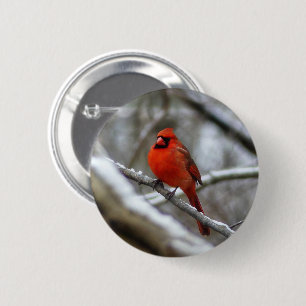 Male Cardinal 6 Cm Round Badge