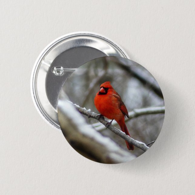 Male Cardinal 6 Cm Round Badge (Front & Back)
