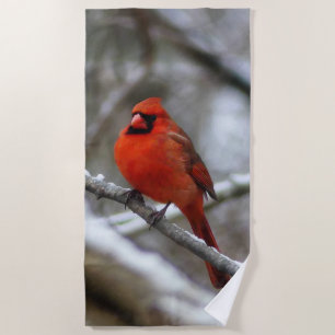 Male Cardinal Beach Towel
