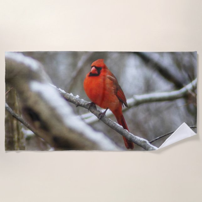 Male Cardinal Beach Towel (Front)