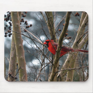 Male Cardinal Concentrating Mouse Mat