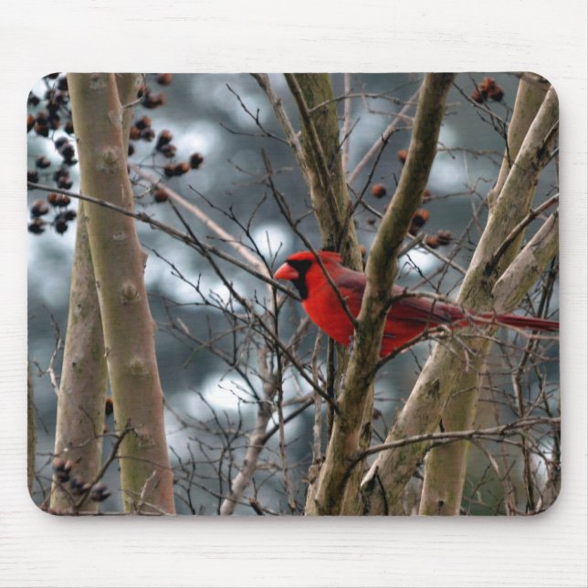 Male Cardinal Concentrating Mouse Mat (Front)