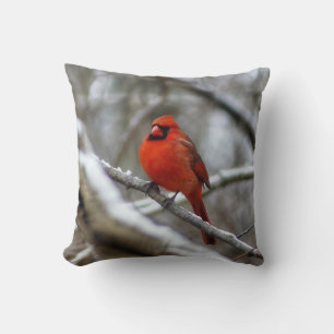Male Cardinal Cushion