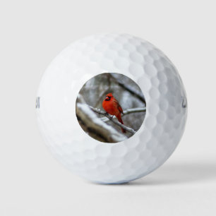 Male Cardinal Golf Balls