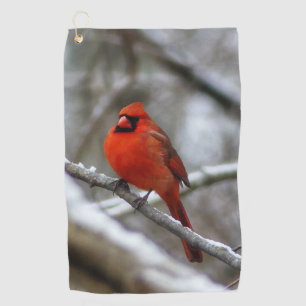 Male Cardinal Golf Towel