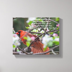 Male Cardinal in Springtime Canvas Print