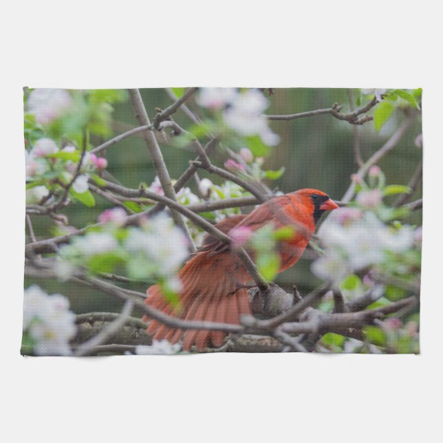Male Cardinal in Springtime Tea Towel (Horizontal)