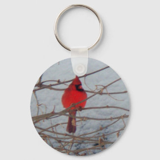 Male Cardinal Key Ring