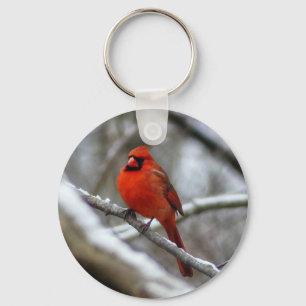 Male Cardinal Key Ring