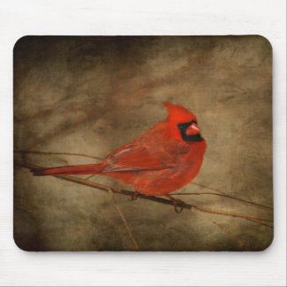 Male Cardinal Mousepad