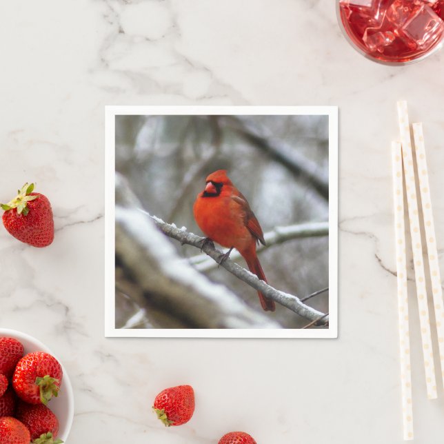 Male Cardinal Napkin (Insitu)