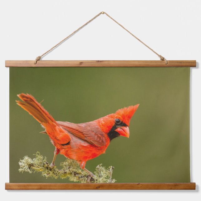 Male Cardinal on Limb Hanging Tapestry (Front)