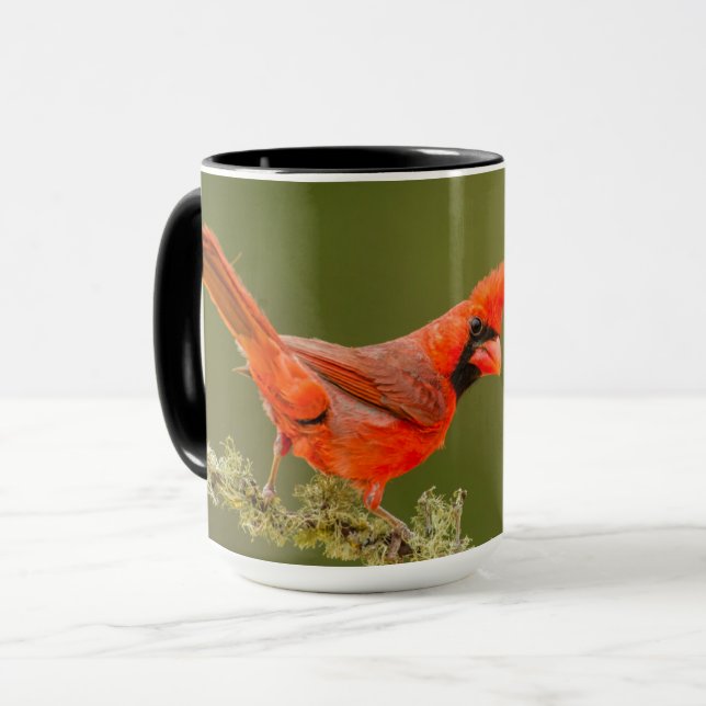 Male Cardinal on Limb Mug (Front Left)