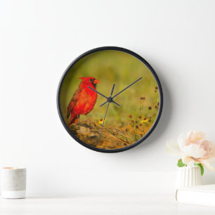 Male Cardinal on Log Clock