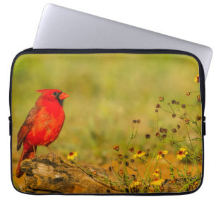 Male Cardinal on Log Laptop Sleeve