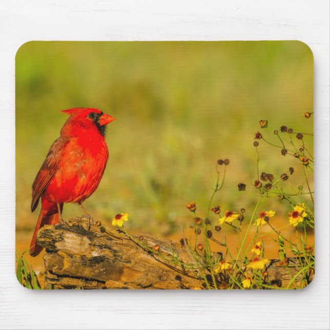 Male Cardinal on Log Mouse Mat (Front)