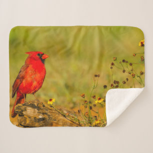 Male Cardinal on Log Sherpa Blanket