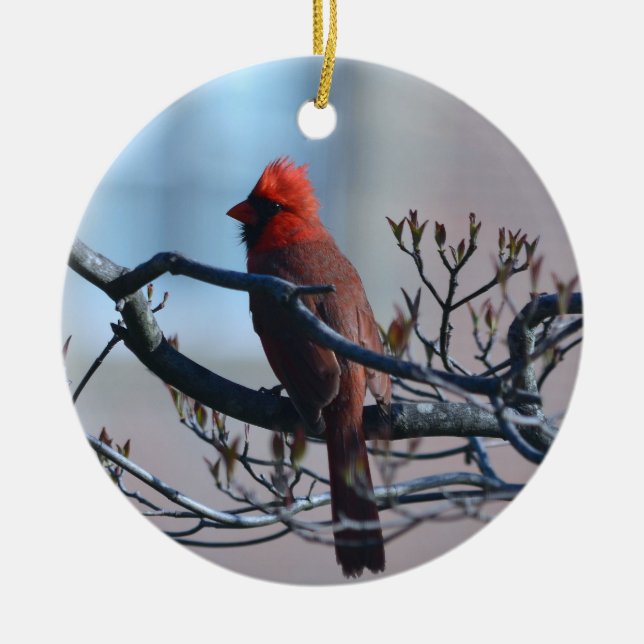 Male Cardinal Ornament (Front)