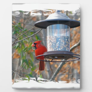 Male Cardinal Plaque