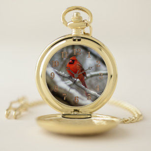 Male Cardinal Pocket Watch
