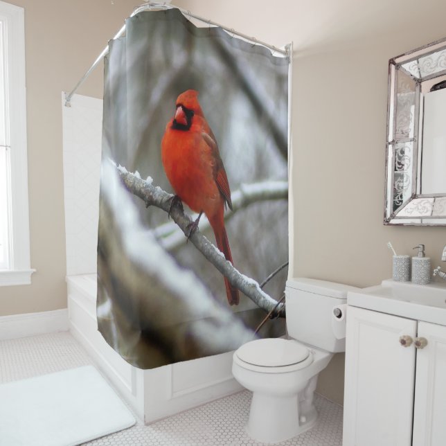 Male Cardinal Shower Curtain (In Situ)