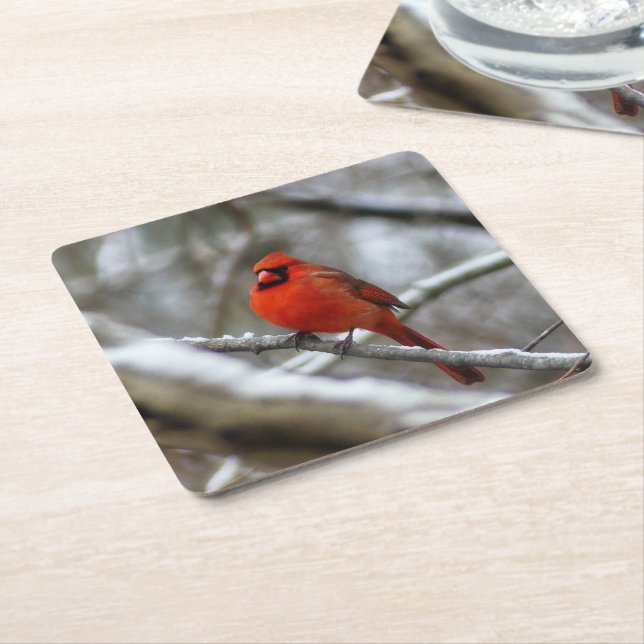Male Cardinal Square Paper Coaster (Angled)