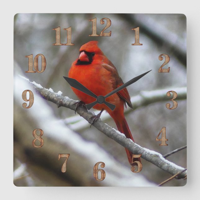 Male Cardinal Square Wall Clock (Front)
