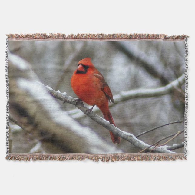 Male Cardinal Throw Blanket (Front)