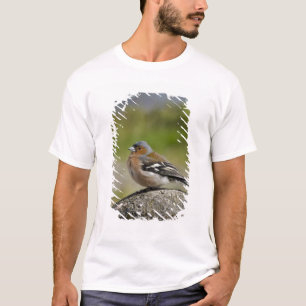 Male Chaffinch (WILD: Fringilla coelebs) T-Shirt