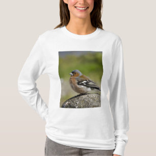 Male Chaffinch (WILD: Fringilla coelebs) T-Shirt