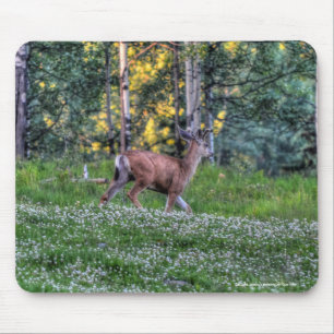 Male Deer Buck on Ranch Wildlife Photo Mouse Mat