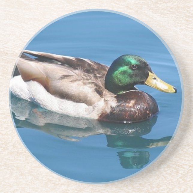 Male Duck Coaster (Front)