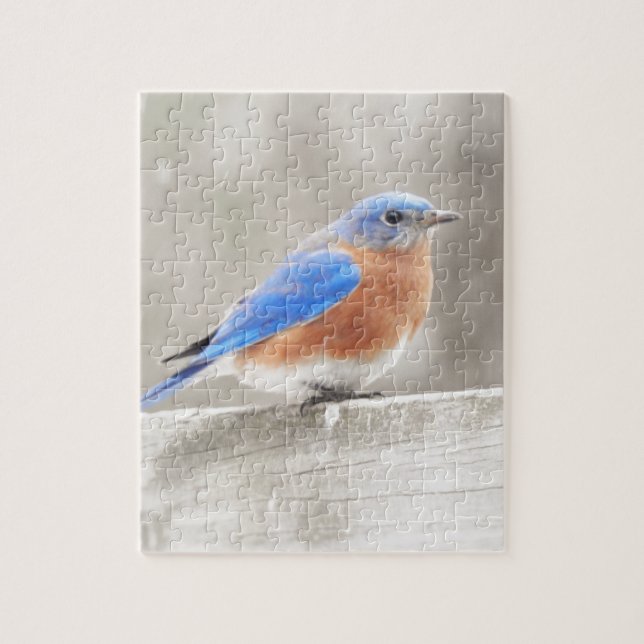Male Eastern Bluebird Jigsaw Puzzle (Vertical)